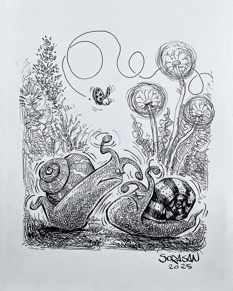 Inktober 2025 - Day 24 Rowdy